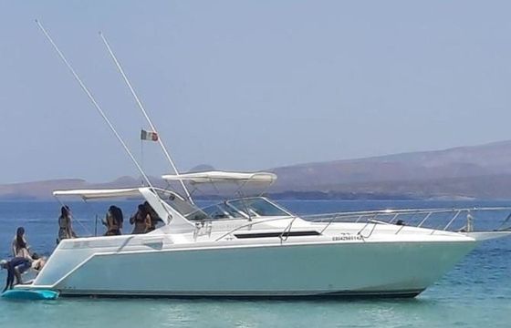 Custom Built 42 Renata Regina