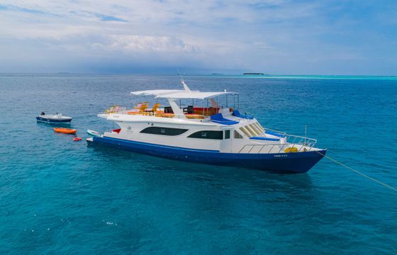 Custom Built 20 Misraab
