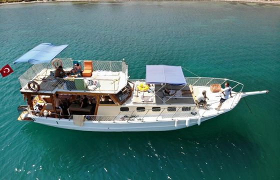 Custom Built 44 Dilara 2