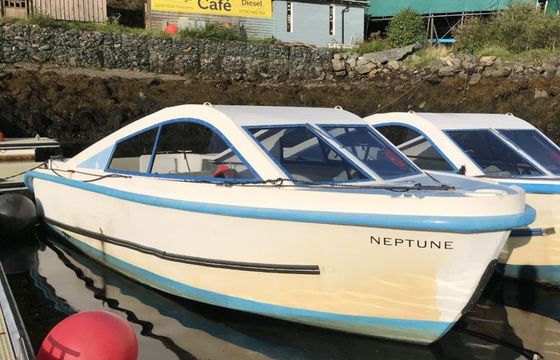 Custom Built 22 Neptune