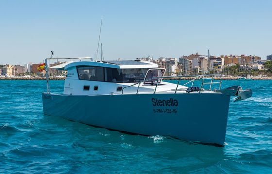 Custom Built 39 Stenella