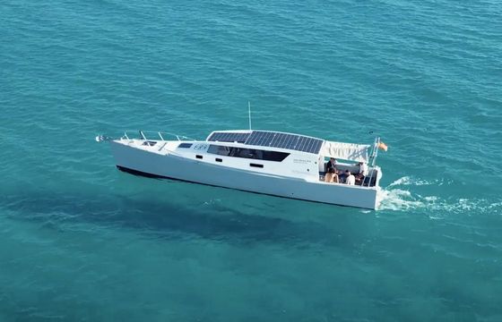 Custom Built 39 Stenella