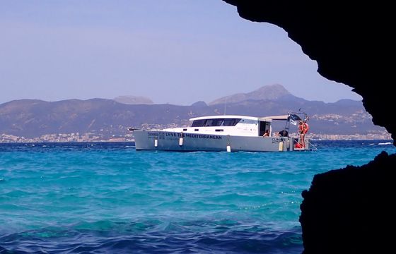 Custom Built 39 Stenella