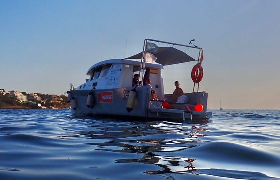 Custom Built 39 Stenella