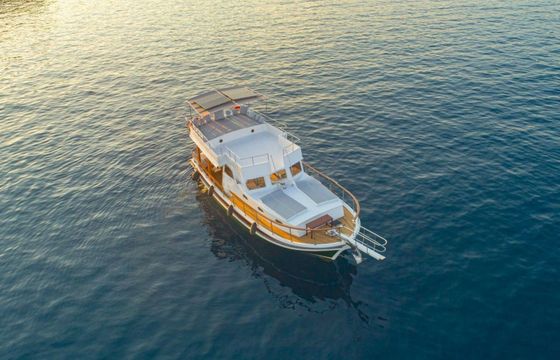 Custom Built 46 Goldenlight