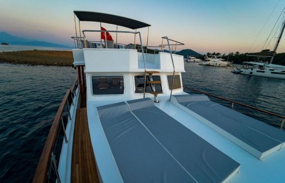 Custom Built 46 Goldenlight