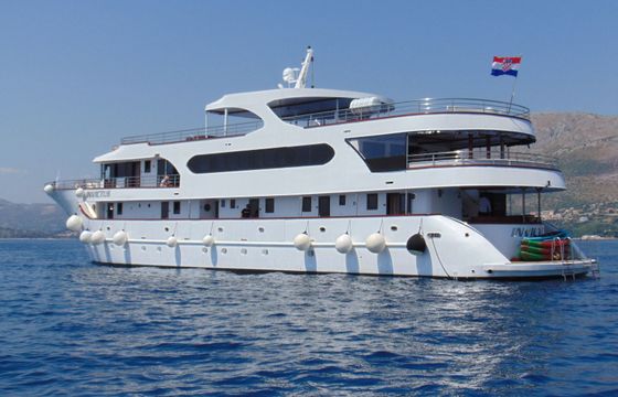 Custom Built 131 Invictus