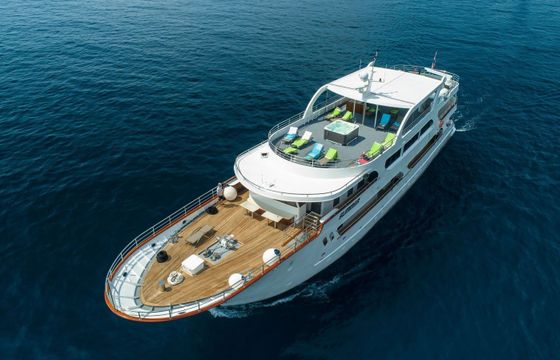 Custom Built 137 Summer