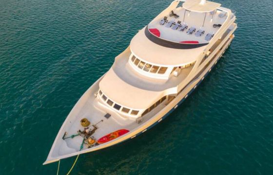 Custom Built 141 Searose 2