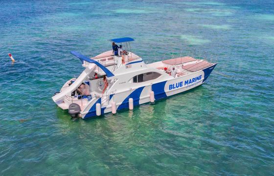 Custom Built 47 King of the Beach