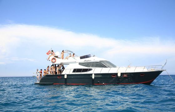 Custom Built 49 Amphora