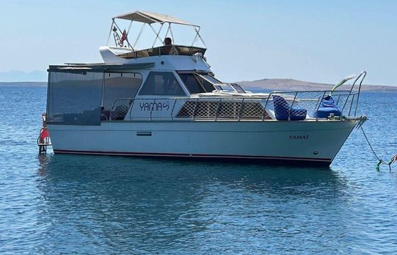 Custom Built 31 Yamas