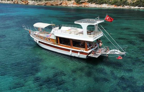 Custom Built 49 Larimar
