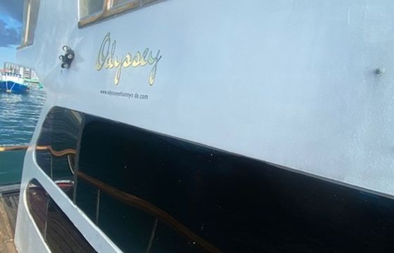 Custom Built 49 Odyssey