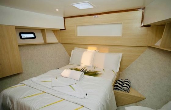 Custom Built 49 Odyssey