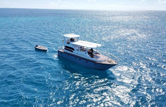 Custom Built 49 Odyssey