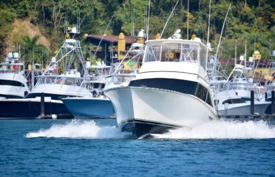 Custom Built 48 Crushem