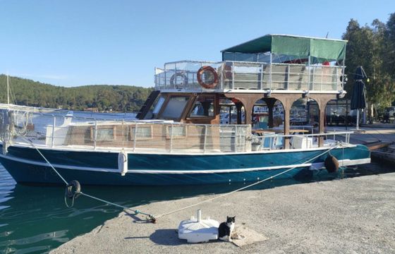 Custom Built 49 Su 6