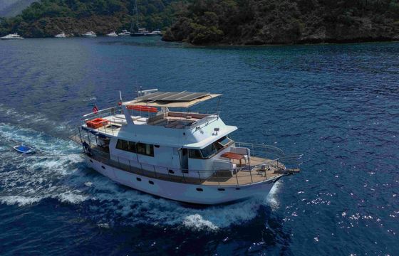 Custom Built 49 Mhaol