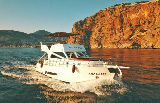 Custom Built 44 Khaleesi