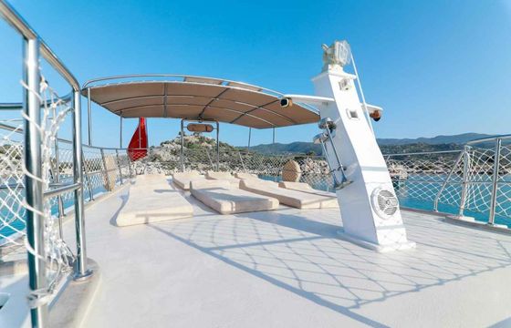 Custom Built 45 Estrella