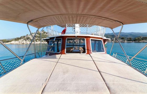 Custom Built 45 Estrella