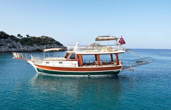 Custom Built 45 Estrella