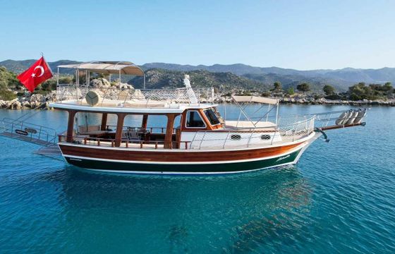 Custom Built 45 Estrella