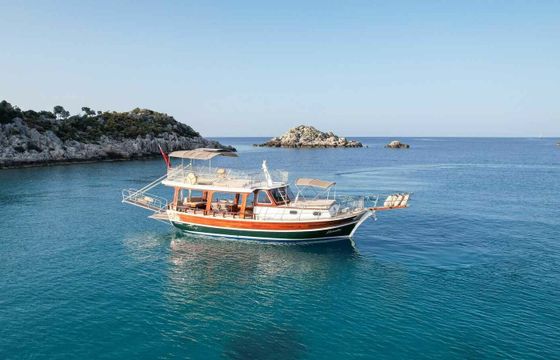 Custom Built 45 Estrella