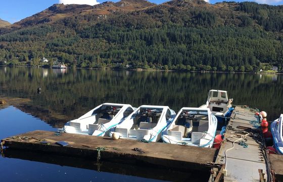 Custom Built 22 Nereus