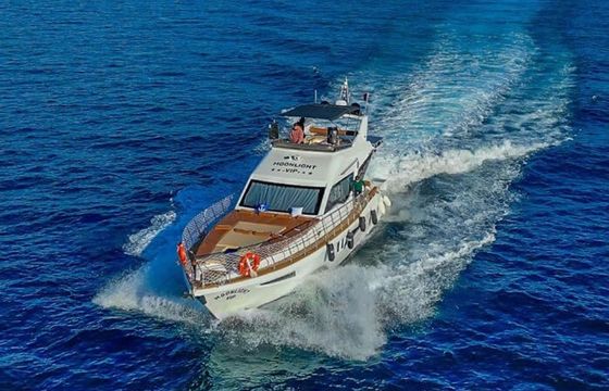 Custom Built 46 Moonlight VIP