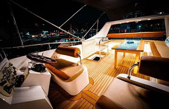 Custom Built 46 Moonlight VIP