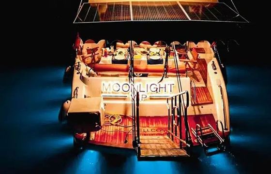Custom Built 46 Moonlight VIP
