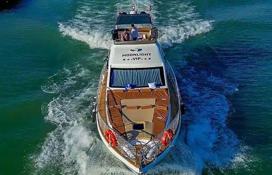 Custom Built 46 Moonlight VIP
