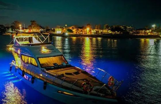 Custom Built 46 Moonlight VIP