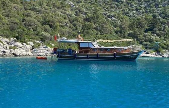 Custom Built 46 Mustafa Naz-E
