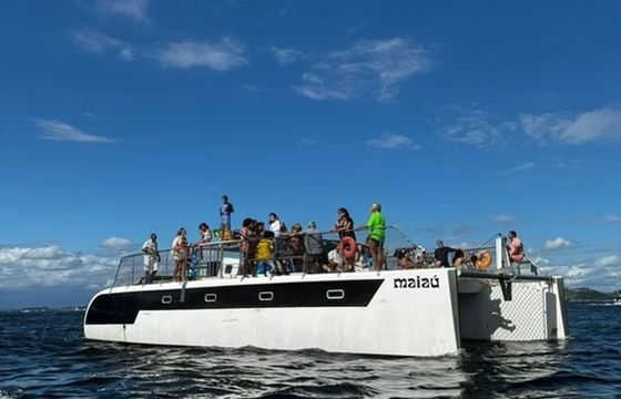 Custom Built 47 Maiau