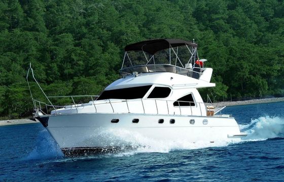 Custom Built 49 Eliza 4