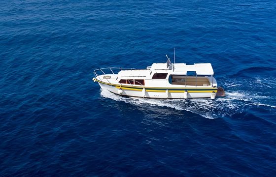 Custom Built 32 Bounty