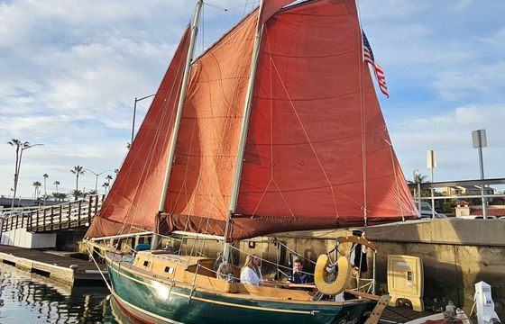 Custom Built 36 Lively