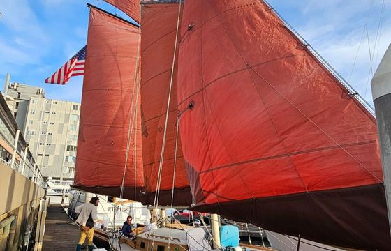 Custom Built 36 Lively