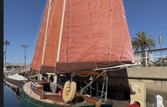 Custom Built 36 Lively