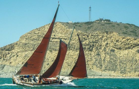 Custom Built 36 Lively
