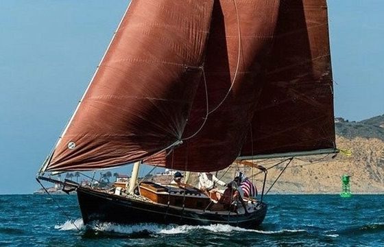 Custom Built 36 Lively