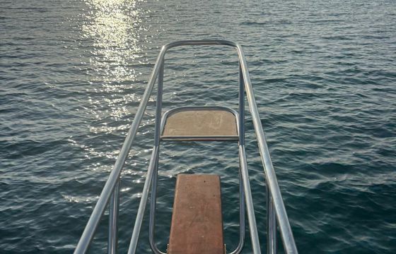 Custom Built 36 Sezgin Kaptan