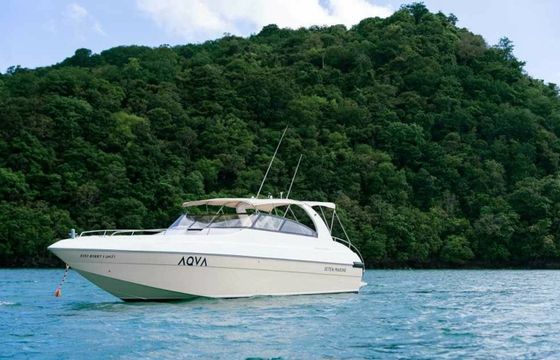 Custom Built 37 Aqua
