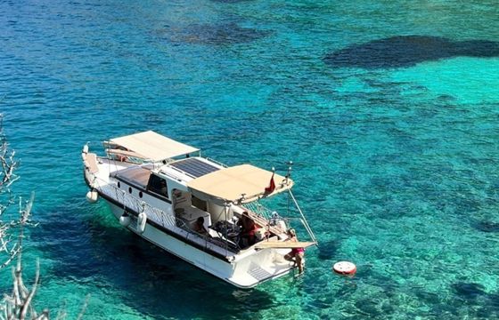Custom Built 34 Hayat Bora