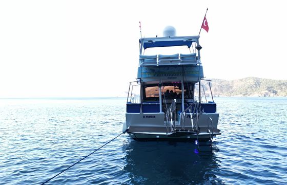 Custom Built 39 Sl Yildirim
