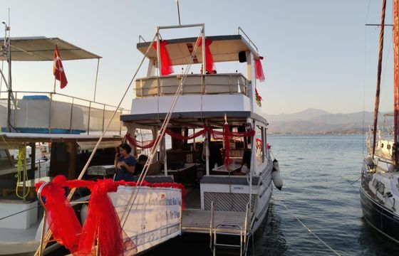Custom Built 39 Efem 2