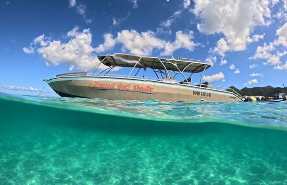 Custom Built 39 Temptation SXM